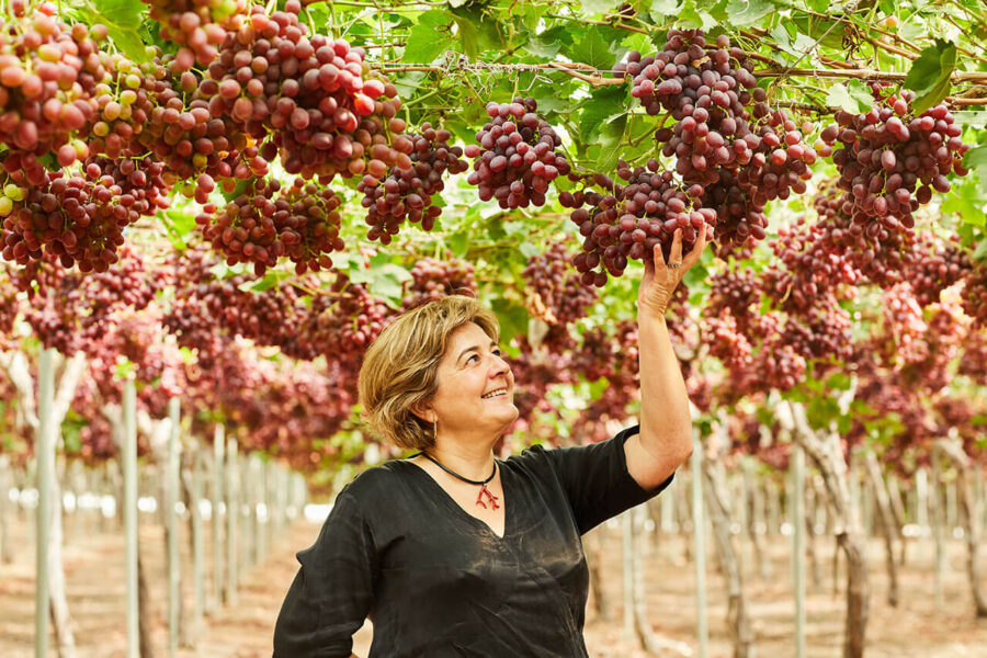 fina-mena-directora-comercial-moyca-grapes-sl